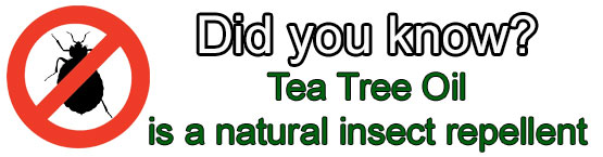 Camping and Hiking Wipes by DERMAFENSE